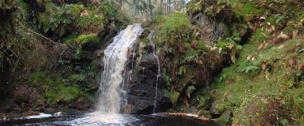 Hindhope Linn Kielder Forest