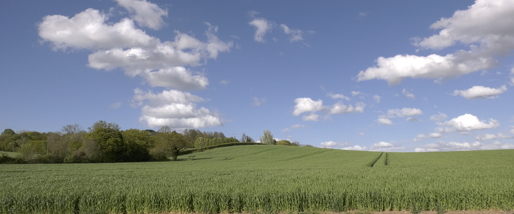 Bright blue sky above open field