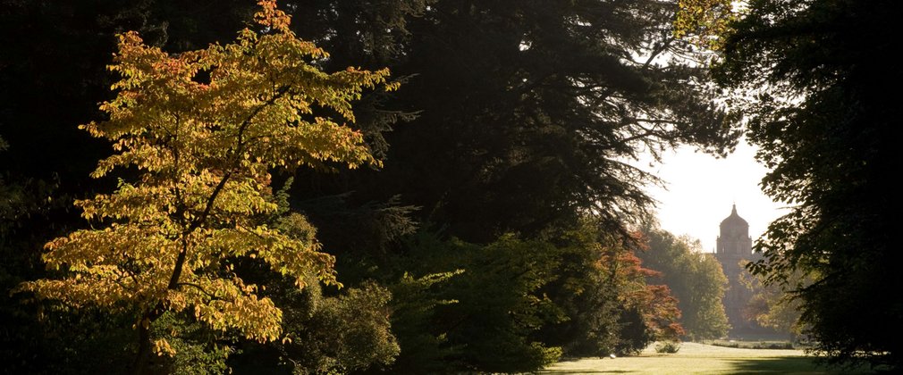 Résultat de recherche d'images pour "Westbourne Woods Arboretum photos"