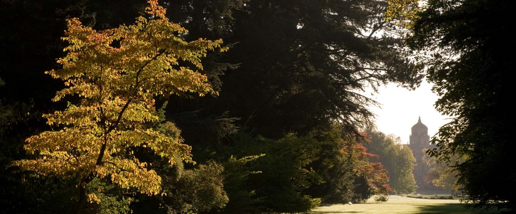 View down Holford Ride Westonbirt 