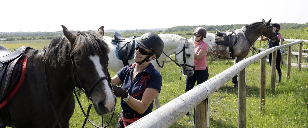 Horse Corral at Hicks Lodge