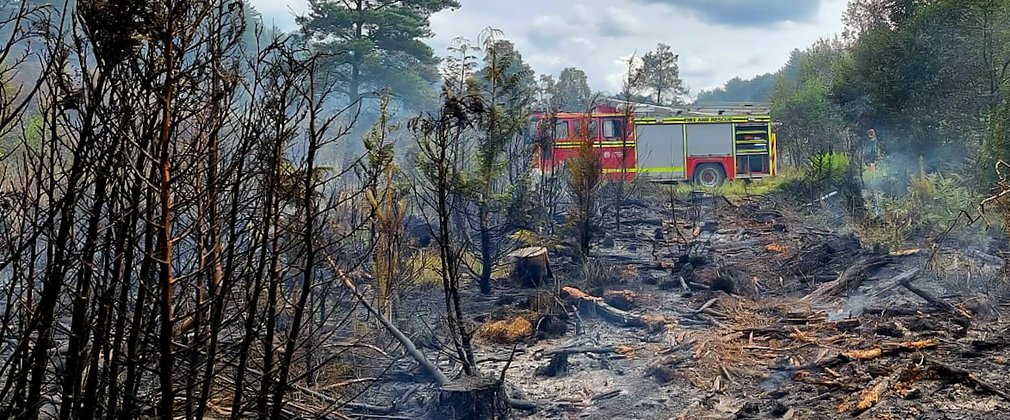 Fire engine in a fire damaged forest