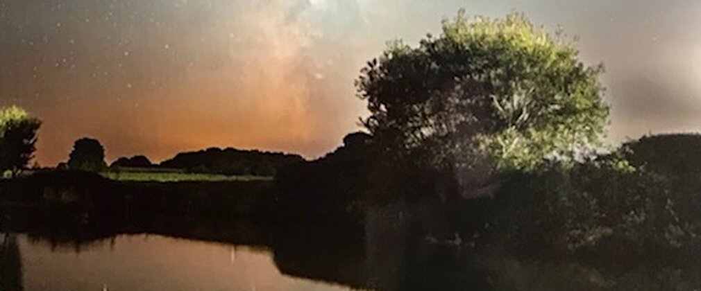 A painting of a nighttime scene of a river and a tree
