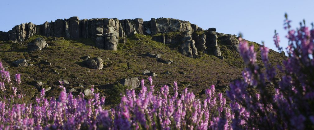 Forests of Rothbury, Simonside Crag