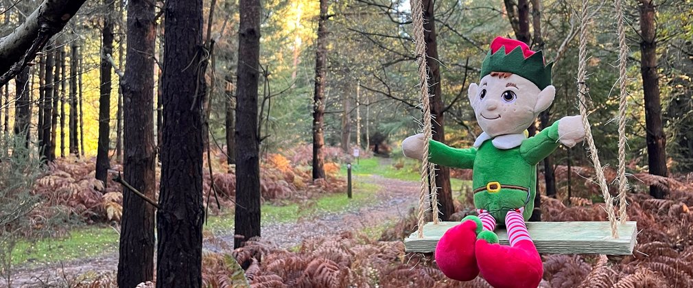 Elf sits on swing on elf trail