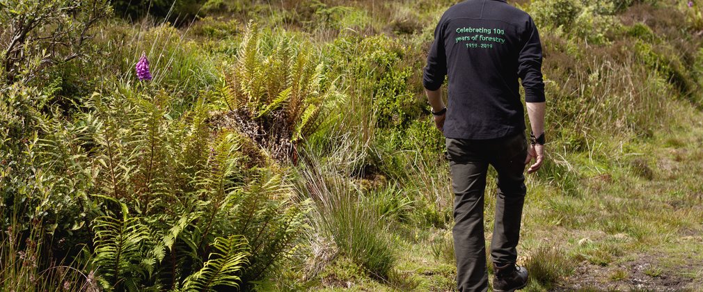 Ranger walking through forest