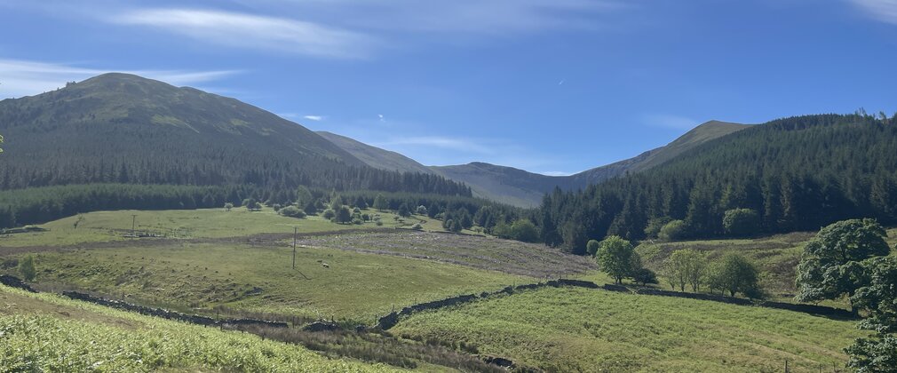 A view of farm pasture in front of a wooded mountain vista