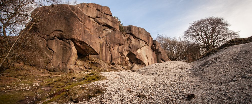 Rocky landscape with trees in the background