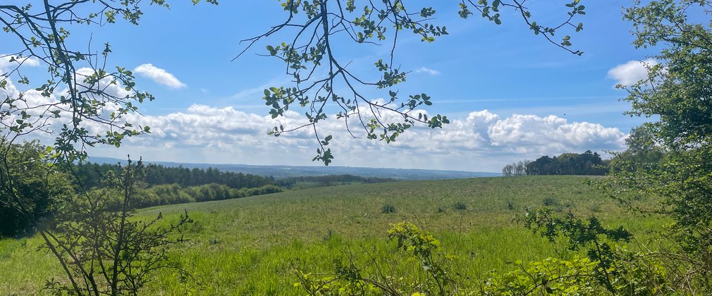 A view across open fields with rolling hills in the distance