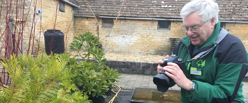 Photography Volunteer