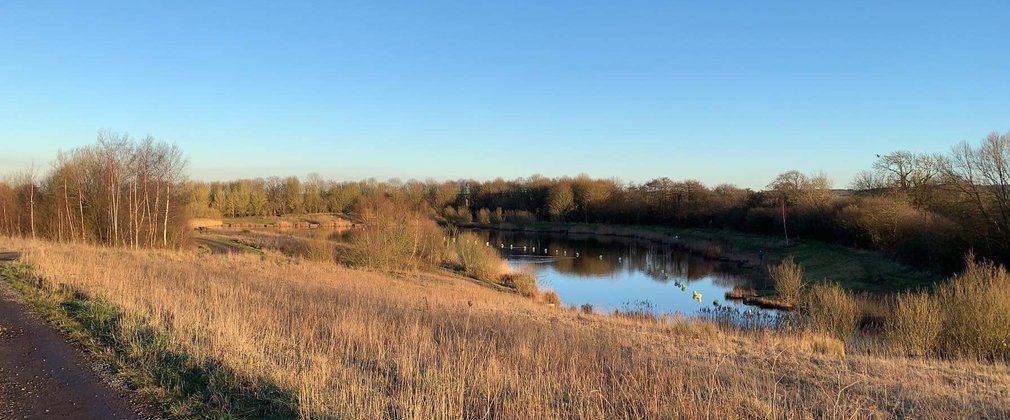 Shirebrook Wood on a winter morning