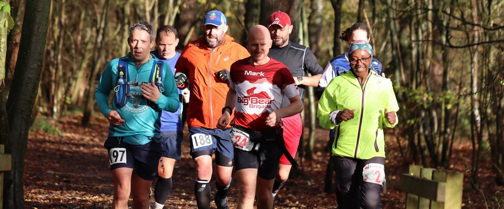 A group of runners in the forest