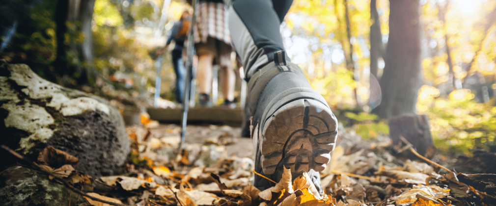 Nordic Walking in the forest