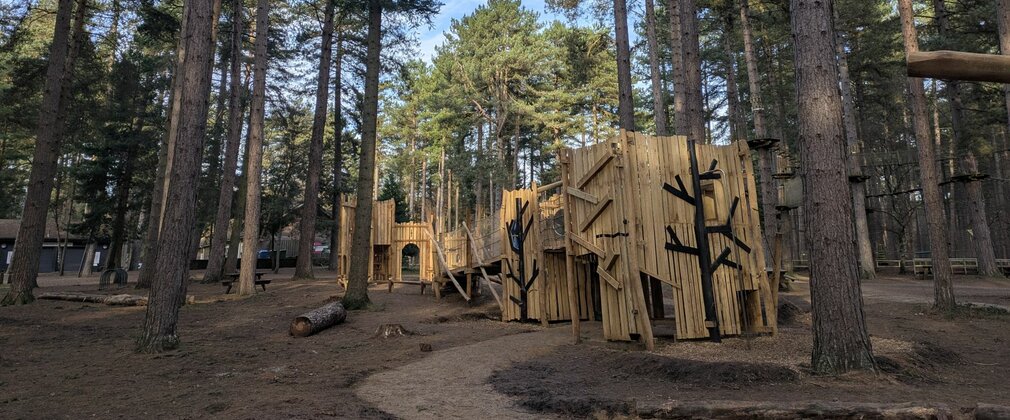 A wooden play fortress surrounded by tall pine trees.