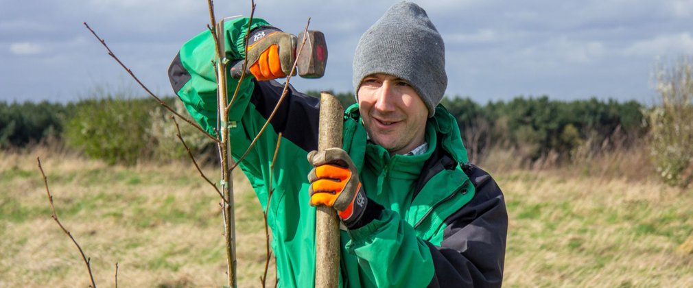 A man wearing Forestry England holding a wooden post and a mallet, standing next to a sapling tree.