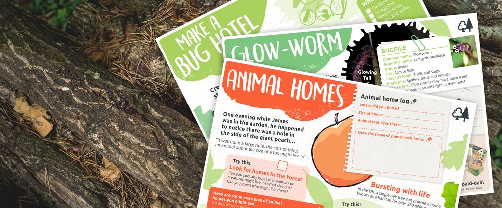 Roald Dahl Activity Sheets