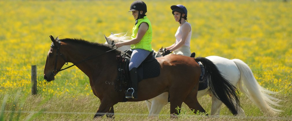 Ladies riding on Horses through the fields 