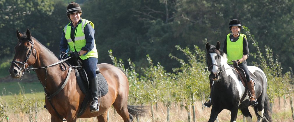 Ladies riding on Horses through the woodlands