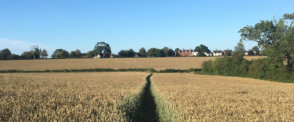 Jo Staniforth field pathway