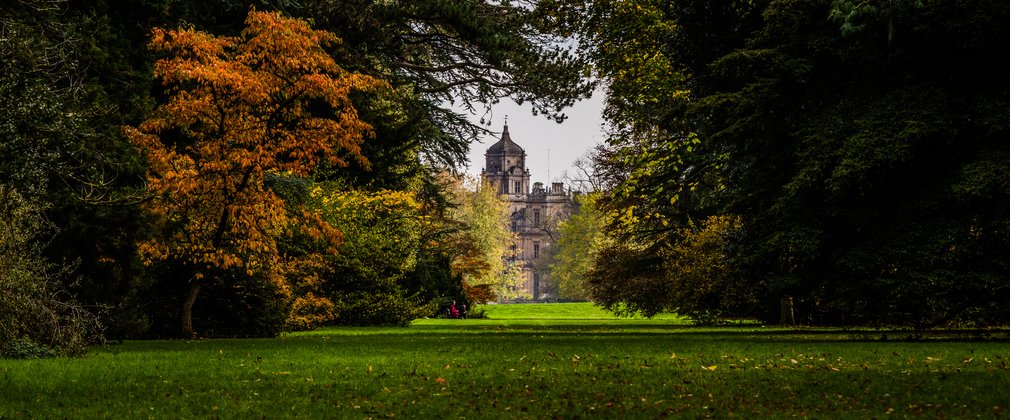 Holford Ride Westonbirt