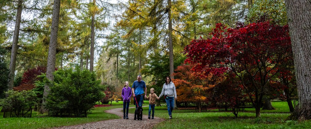 A family walk through a landscape of beautiful autumn coloured trees.
