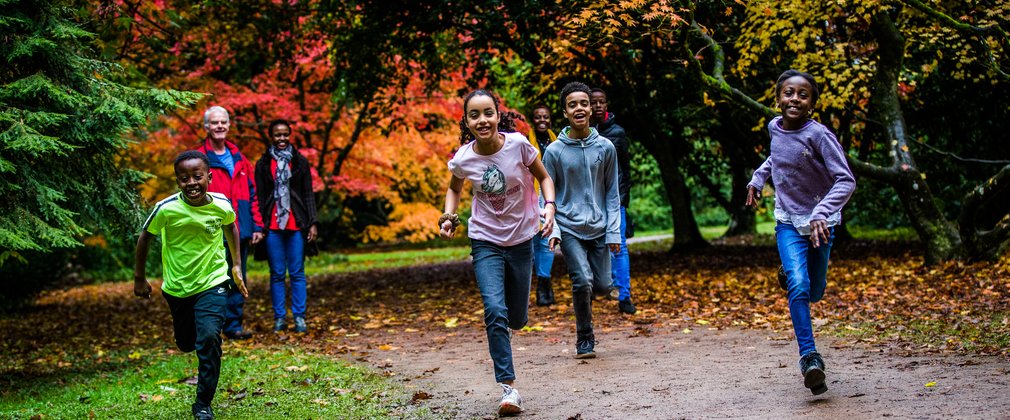 Kids running in forest