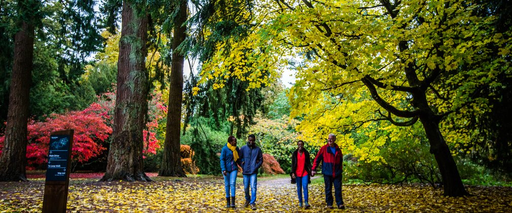 autumn westonbirt