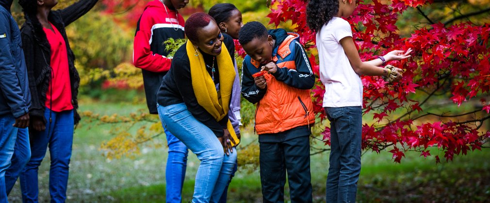 A young boy and his mother peer intently at a beautiful red leaf in autumn.