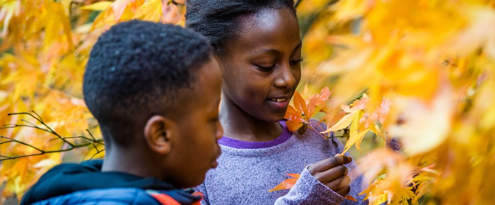 A young girl and boy look at some bright yellow leaves in wonder