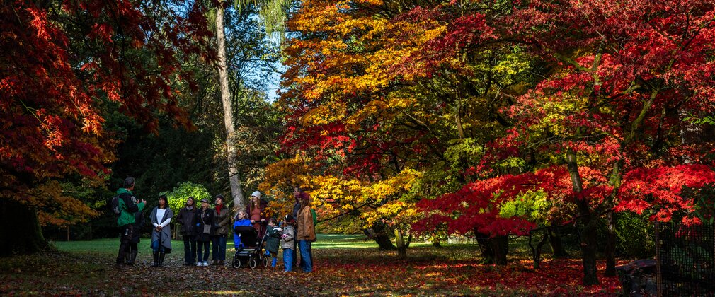 A group of adults and children listen to a guided walk surrounded by autumn colour