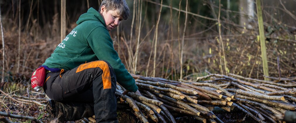 A woman coppicer kneels down at beanpole and peastick produce