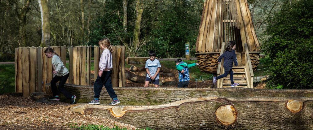 A natural play area with wooden tree balance beams 