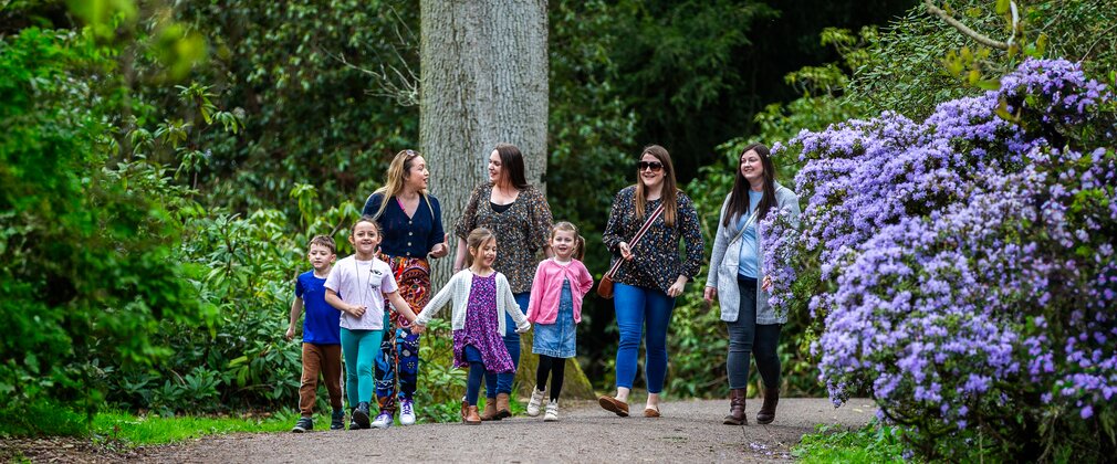 group of adults and children walk along a path through trees where a bright purple tree is blooming