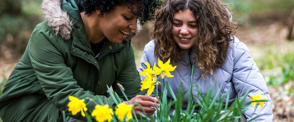 A mother and daughter gaze down at a bright yellow daffodil flower. They smile as the mother reaches her hand out to the stem of the flower