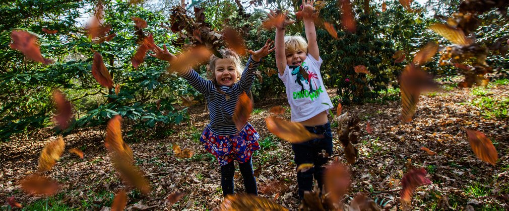 A girl and boy aged 3 years throw leaves up in the air with great happiness and gusto