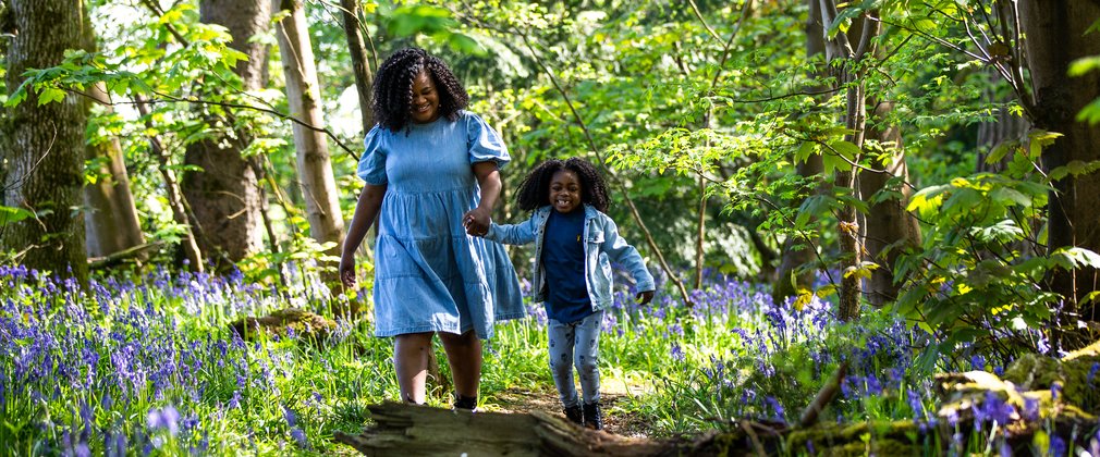 A mum and son walk along a woodland path surrounded by bluebells