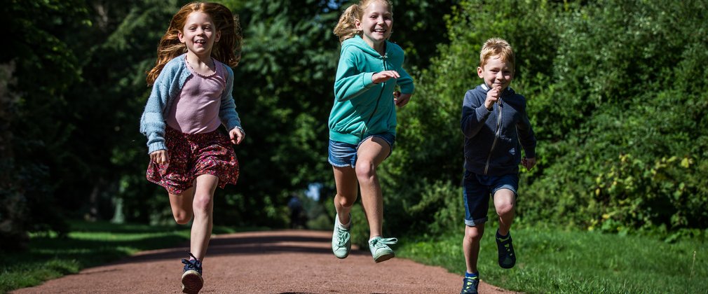 summer westonbirt