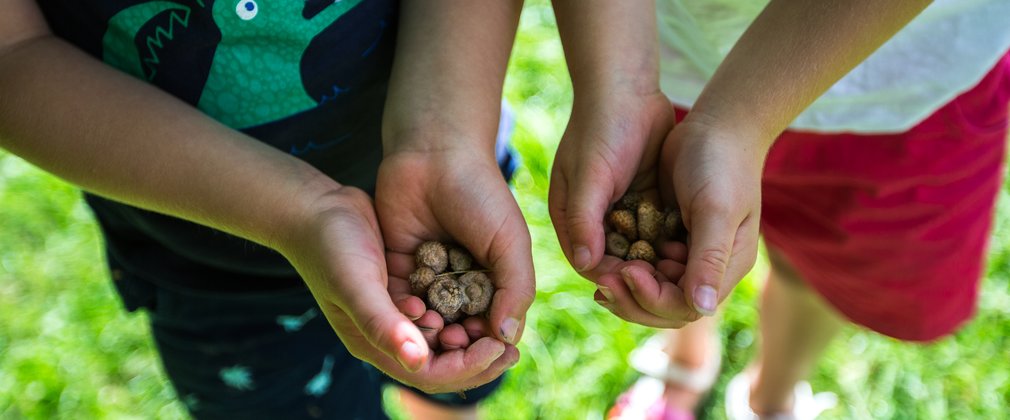 Children holding acorns