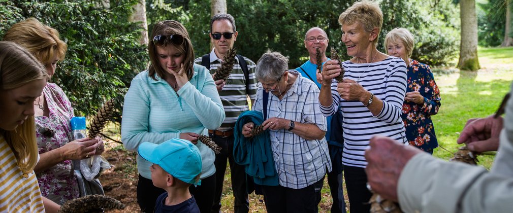 Westonbirt group