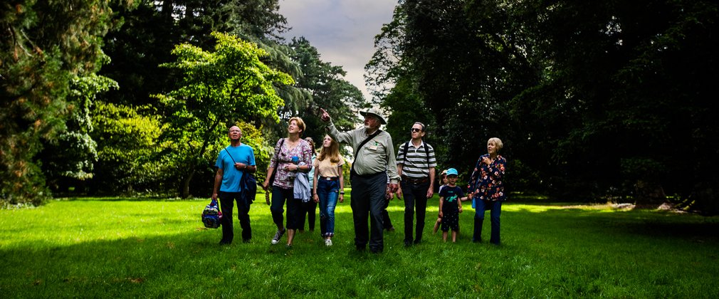 Westonbirt group