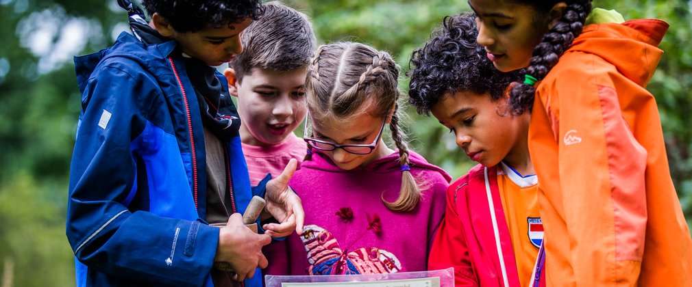 A group of children looking at a piece of paper in the forest