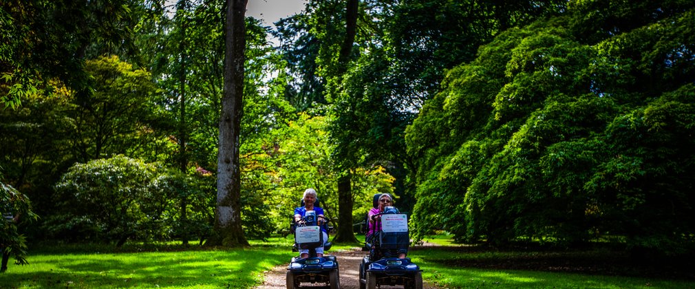 Two women on trampers exploring the forest on a sunny day