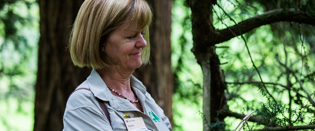 A woman in a beige shirt looks down at some cones on a branch she has picked up
