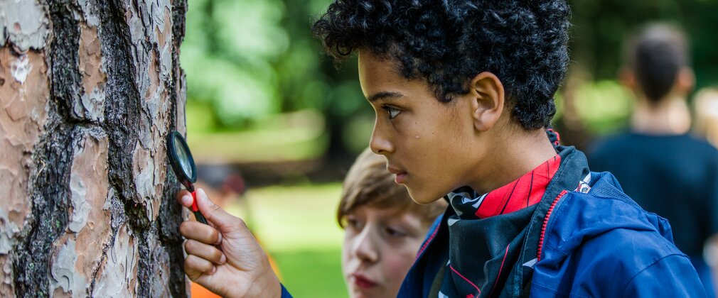 A young boy looks through a magnifying glass to take a closer look at the bark of a tree trunk.