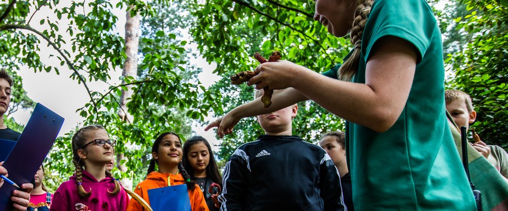 Learning Westonbirt