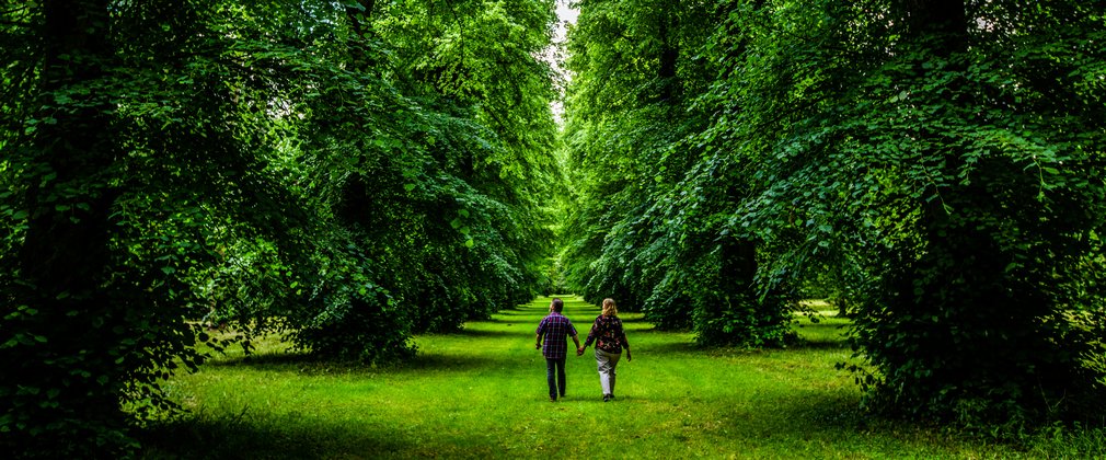 Couple walking down Lime Avenue Westonbirt