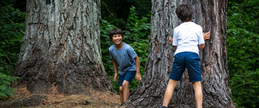 2 young brothers play catch around a textured tree trunk. 