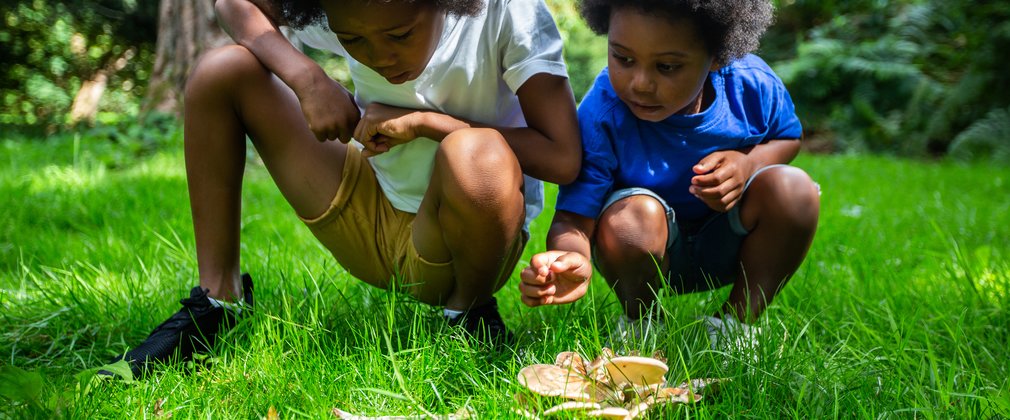 2 young boys crouch down to look closer at some mushroom growing from lush green grass