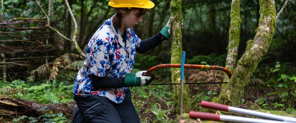 a young woman is sawing into a small tree trunk to coppice the area