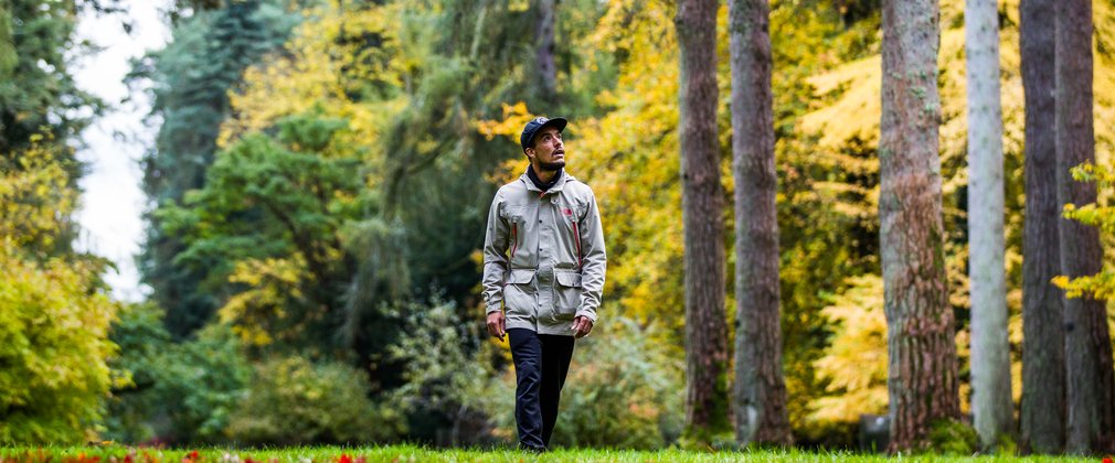 A man walks through a beautiful landscape to trees, looking up around him to admire the view.